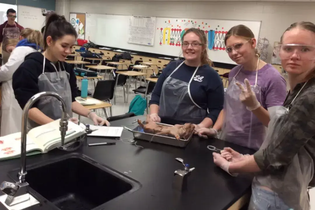 https://ednext.studytours.it/media/1009309/LKDSB-Lambton-Kent-Composite-School-Dissection-August2020.webp