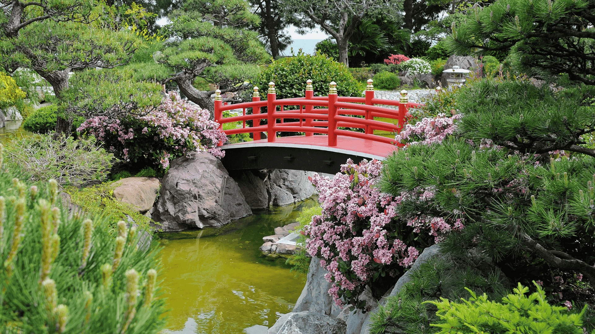 Visita al National Stud & Japanase Gardens