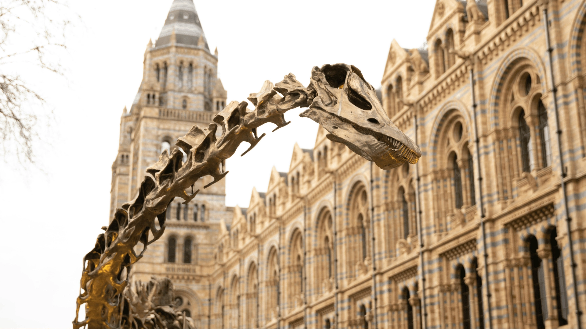 Museo della scienza e Museo della storia naturale