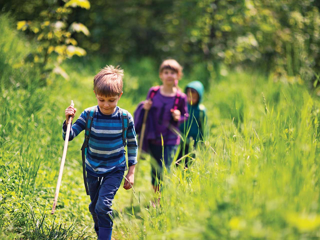 Trekking nella natura