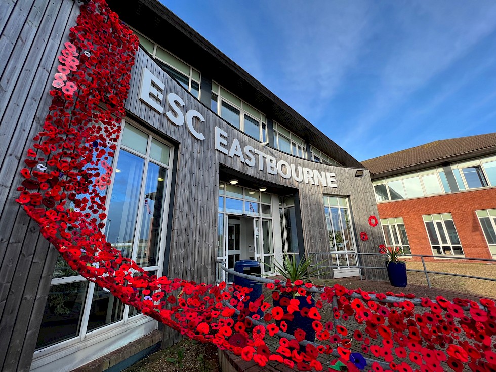 https://ednext.studytours.it/media/398807/poppydisplay.980x0.jpg