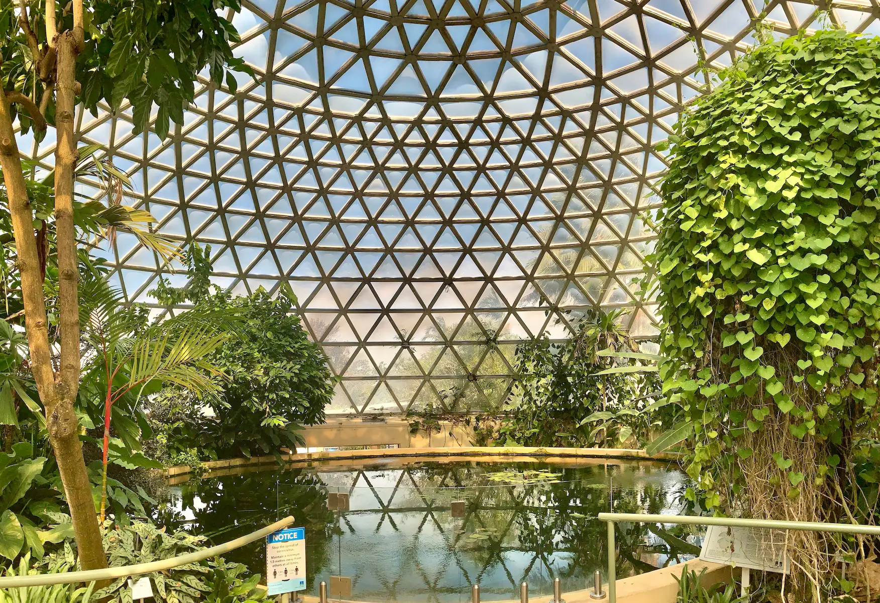 Botanic Gardens
