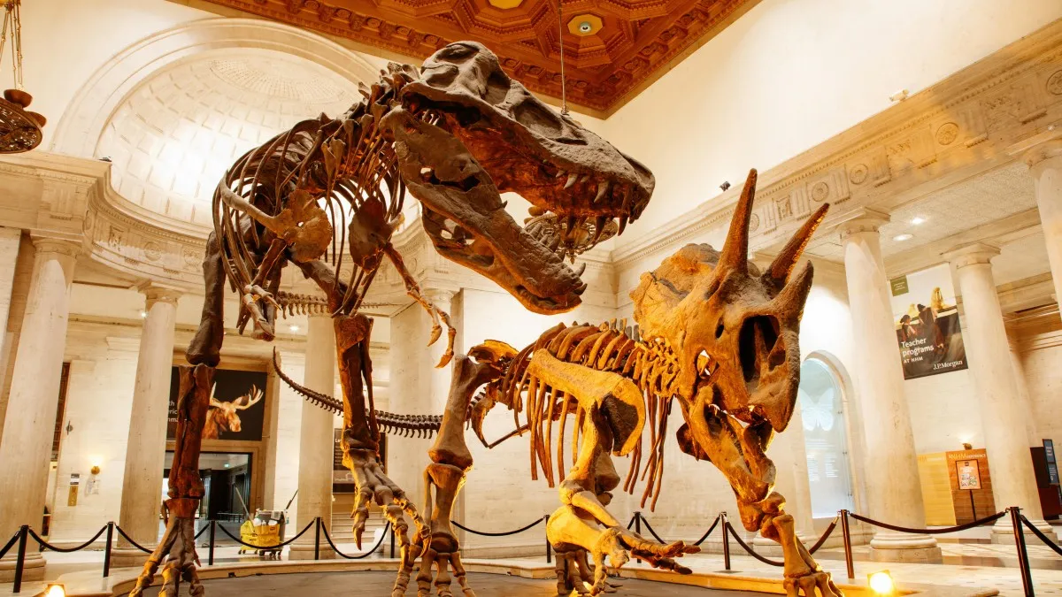 London – Natural History Museum