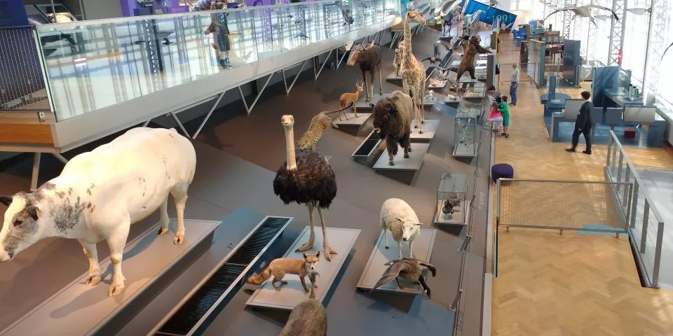 Barcellona – Museo Ciencias Naturales