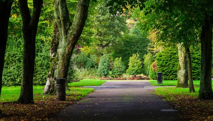 Cork – Fitzgerald Park