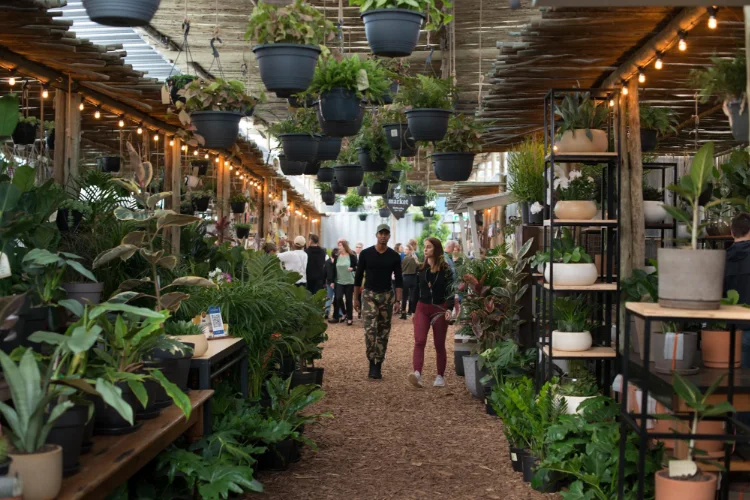 Cape Town – Shopping al V&A Waterfront Market