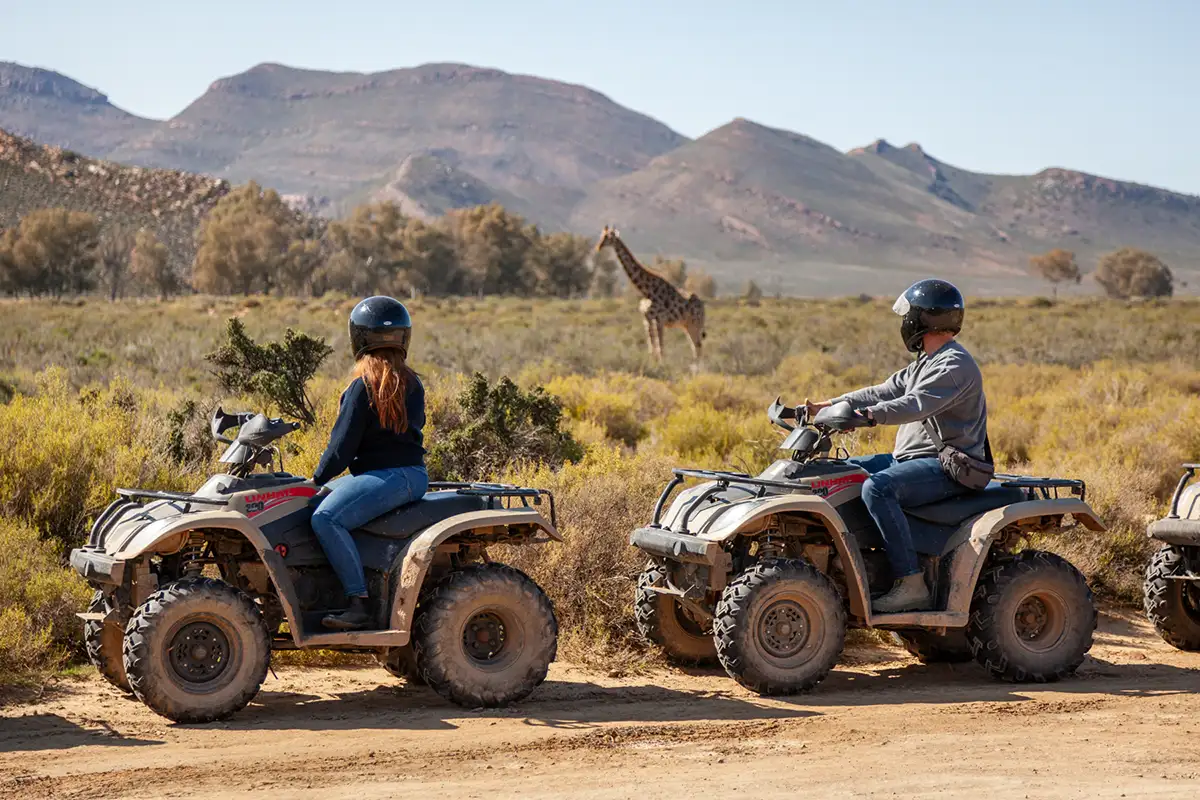 Cape Town – Ingresso all’ Aquila Safari