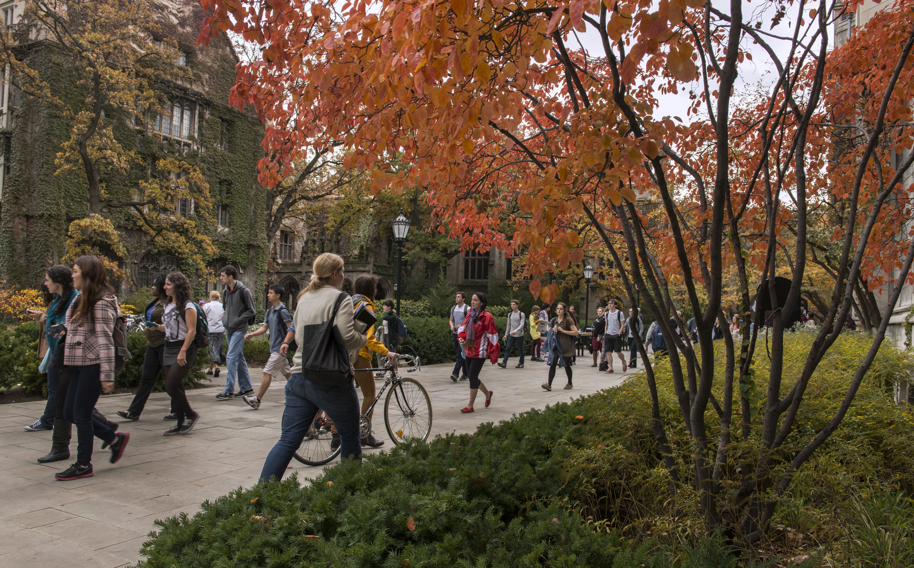 https://ednext.studytours.it/storage/1579/college_chicagovacanzestudio_1.jpg