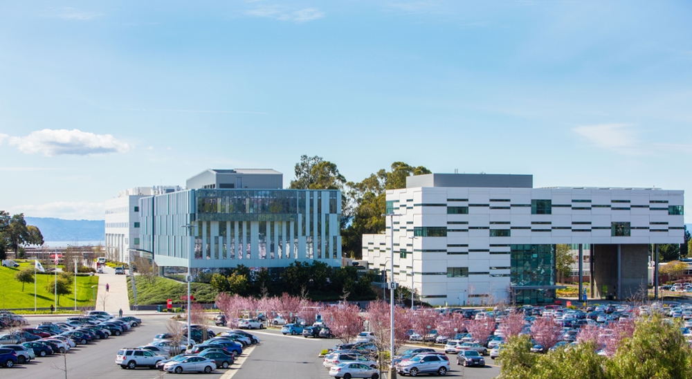 https://ednext.studytours.it/storage/1664/1520959008164-2471882412.jpg