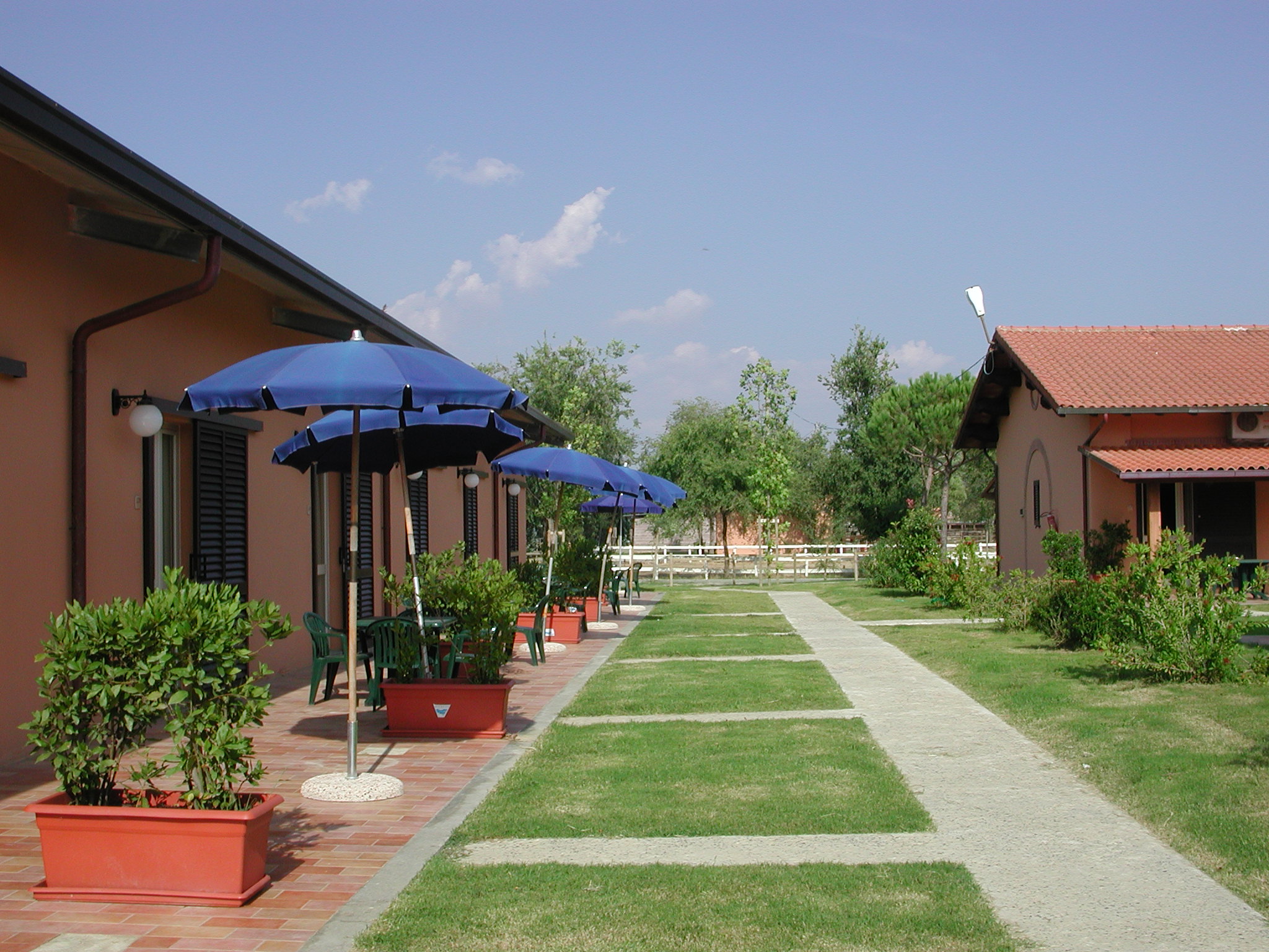 https://ednext.studytours.it/storage/1718/1518620245512-6304327366.JPG