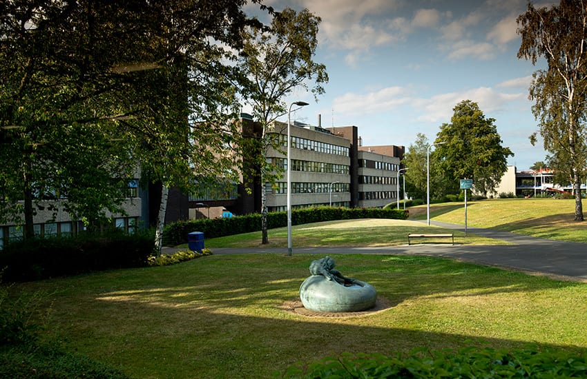 https://ednext.studytours.it/storage/1935/1683292152252-2303536366.jpg
