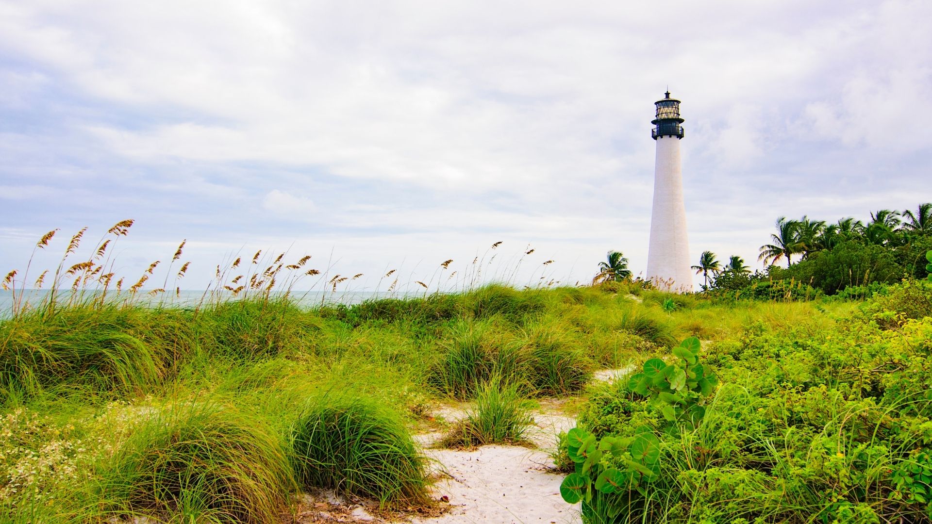 Miami – Key Biscayne, Bill Baggs Cape Florida State Park , quartiere di Wynwood e Wynwood Walls