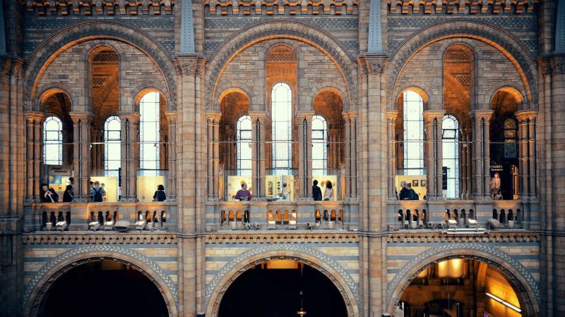 Museo della Scienza e della Storia Naturale