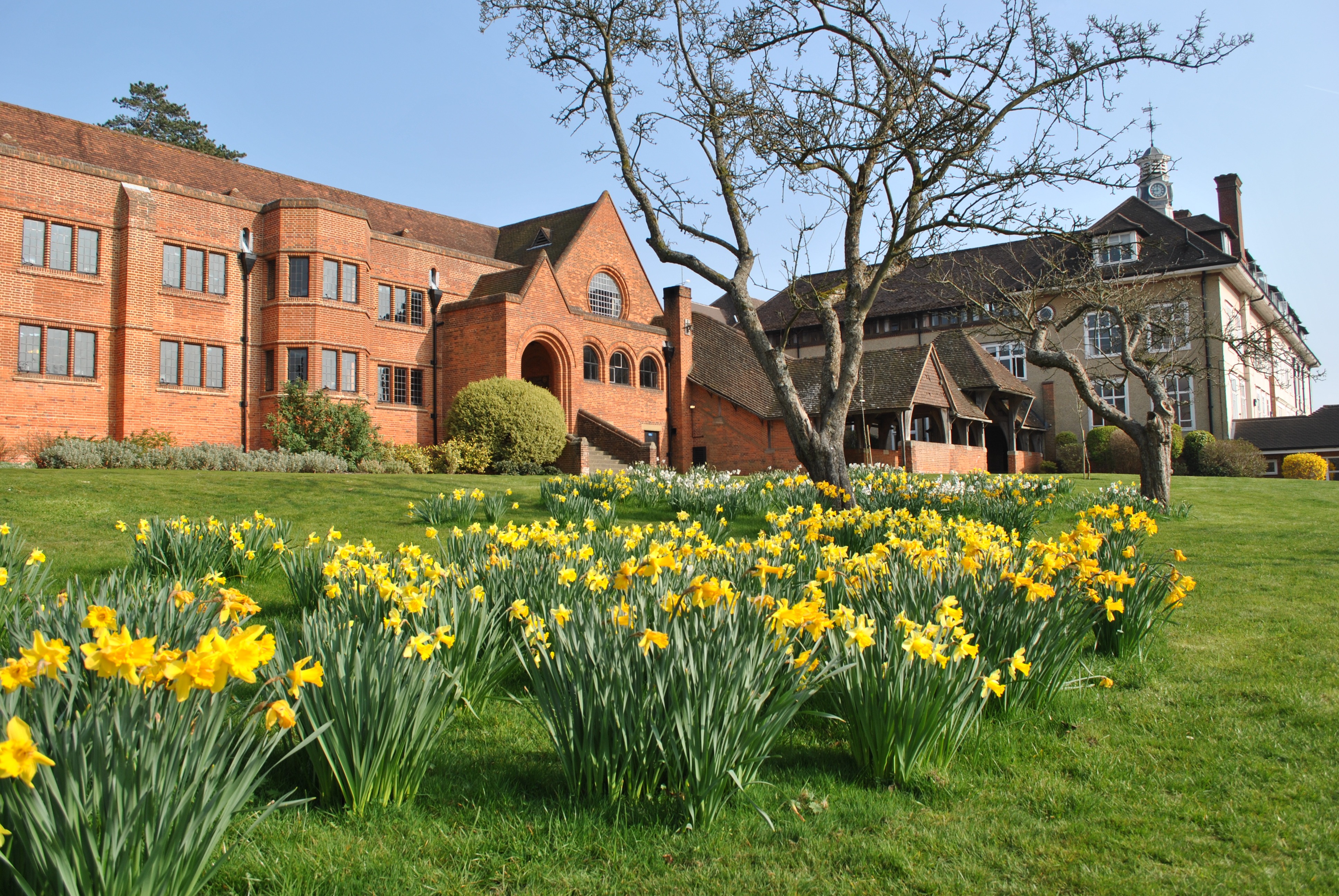 https://ednext.studytours.it/storage/2539/Bedales-building-with-daffs.jpg