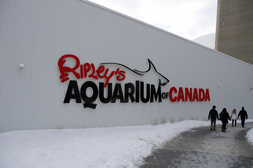 Ripley’s Aquarium