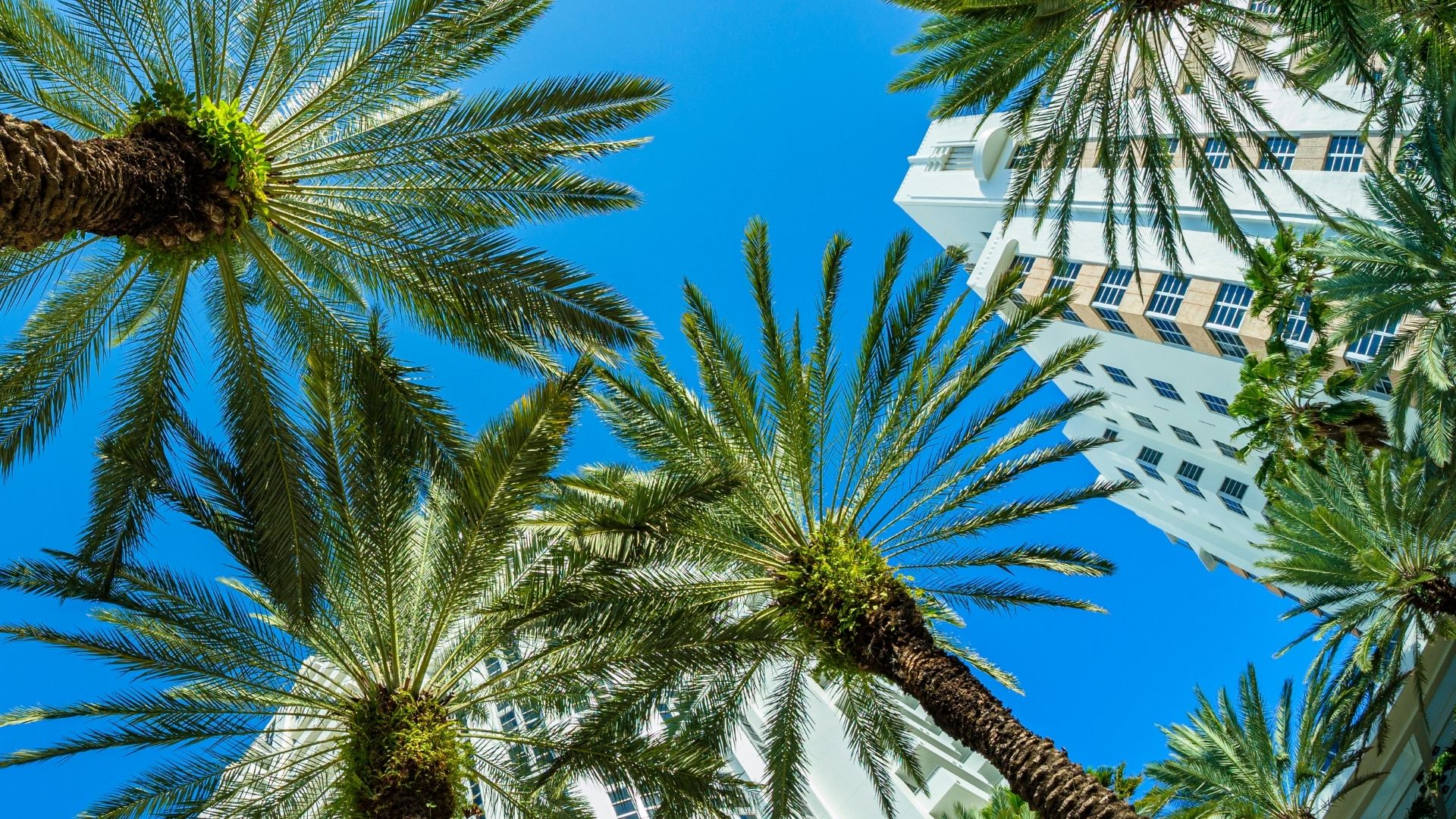 Miami – Hollywood Beach e Broadwalk