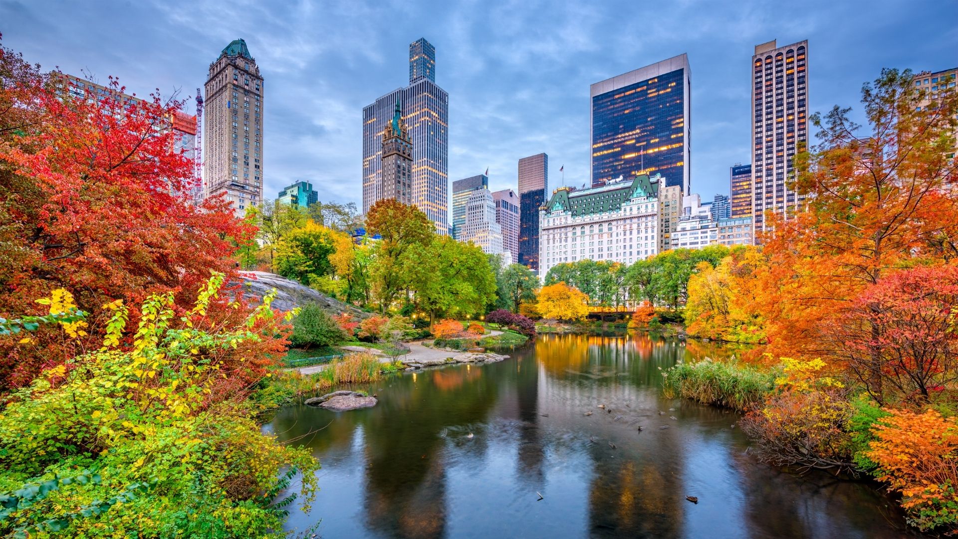 NEW YORK – CENTRAL PARK & ROCKEFELLER CENTER