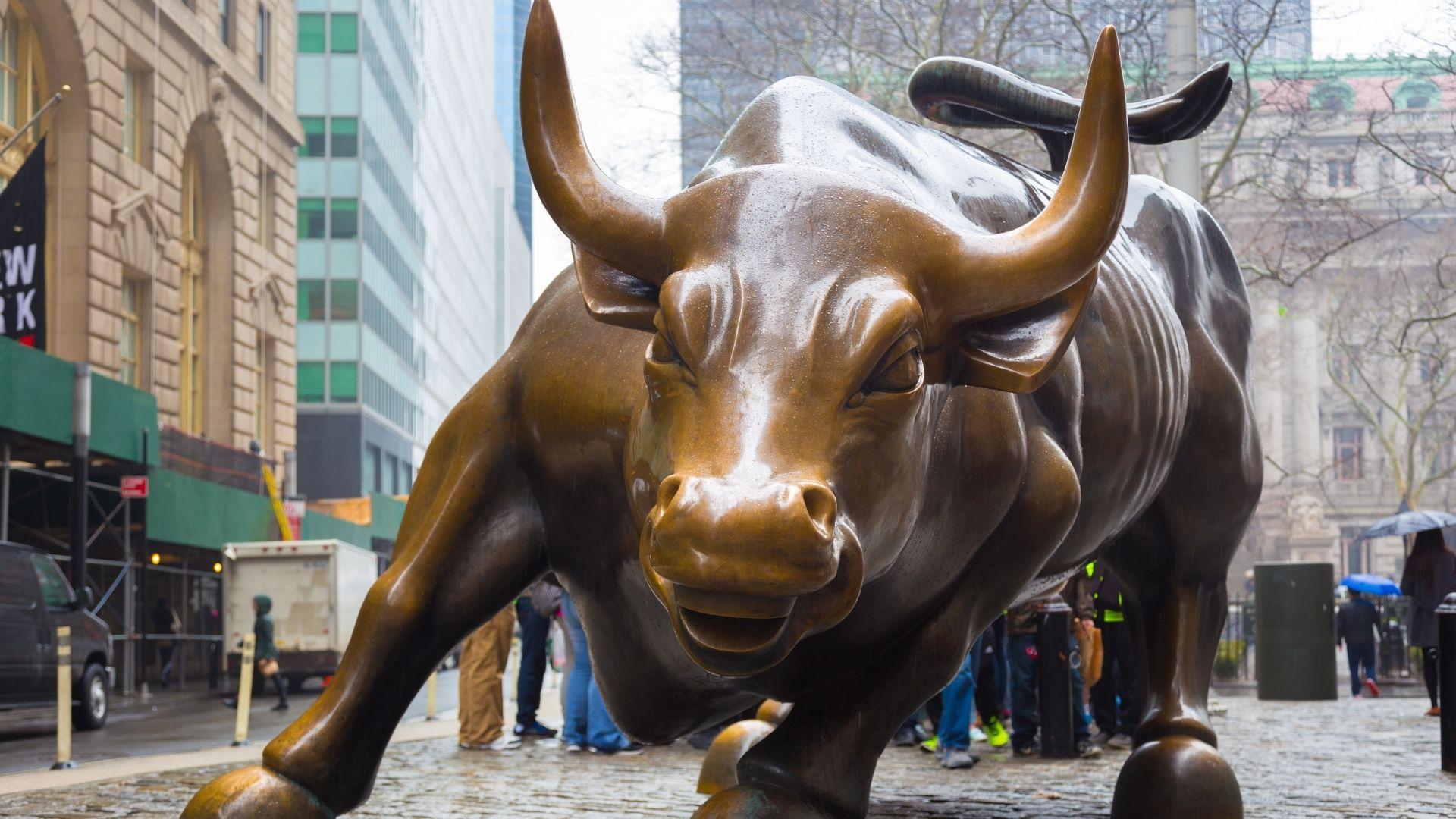 CHARGING BULL